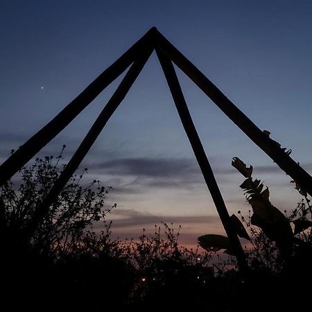 Clorofila House Glamping Naturista Ubatuba Dış mekan fotoğraf