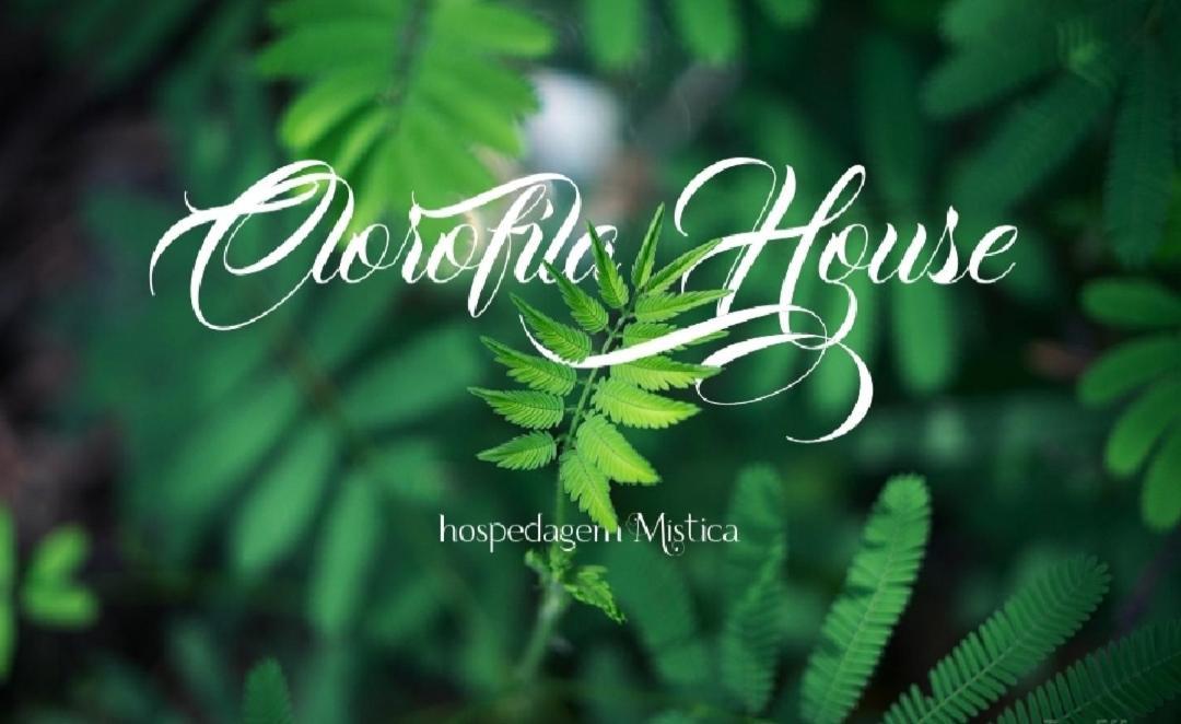 Clorofila House Glamping Naturista Ubatuba Dış mekan fotoğraf