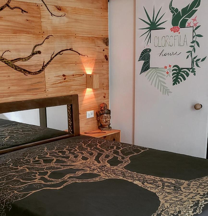 Clorofila House Glamping Naturista Ubatuba Dış mekan fotoğraf