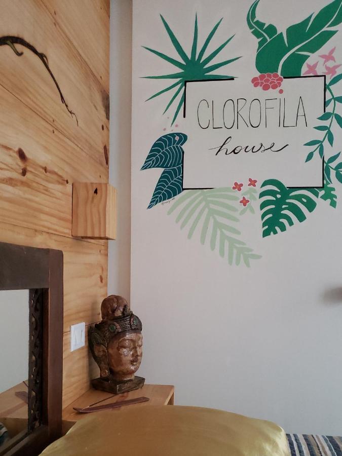 Clorofila House Glamping Naturista Ubatuba Dış mekan fotoğraf