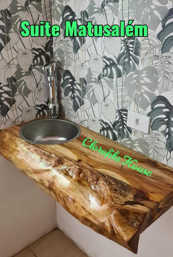 Clorofila House Glamping Naturista Ubatuba Dış mekan fotoğraf