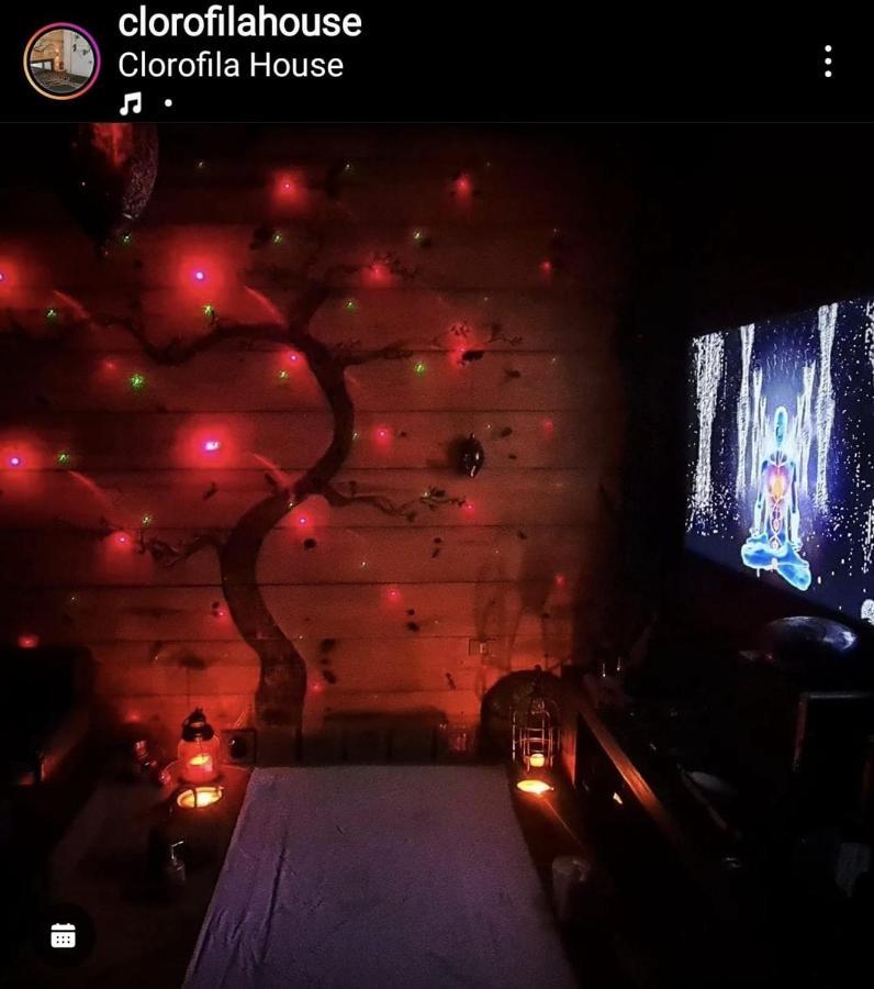 Clorofila House Glamping Naturista Ubatuba Dış mekan fotoğraf